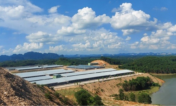 Xuan Thien Thanh Hoa 1 hi-tech livestock production complex has been put into operation in phase 1.