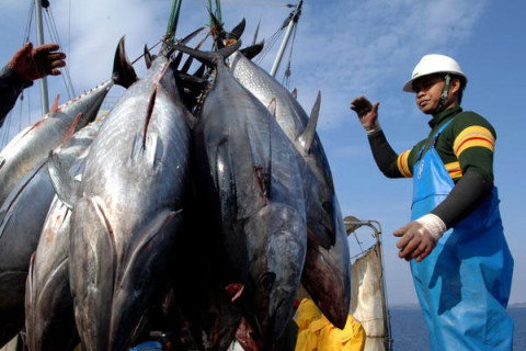 Vietnam's tuna exports to the UK tripled over the same period