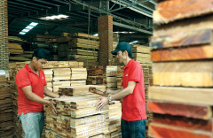 Doanh nghiệp sản xuất, xuất khẩu ngành gỗ đang tiến thoái lưỡng nan