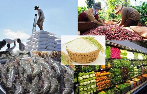 Exports of agricultural, forestry, and fishery products in the first 4 months of 2023 decreased by more than 13%