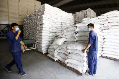 Giá gạo Việt Nam xuất khẩu bình quân 4 tháng đầu năm tăng 7,6%