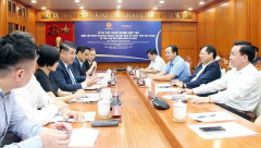Bắc Giang: Tập đoàn Central Retail Việt Nam lên kế hoạch tiêu thụ vải thiều Lục Ngạn vụ mùa 2023