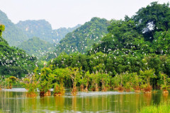 Khu du lịch sinh thái Thung Nham 20 năm phát triển góp phần khẳng định vị thế du lịch Ninh Bình