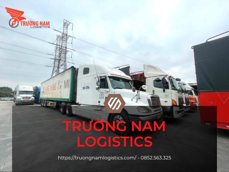 Trường Nam Logistics - Đơn vị dẫn đầu trong lĩnh vực logistics tại Việt Nam.