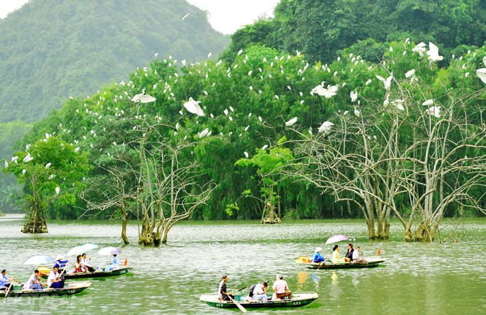 Visitors visit Thung Nham Bird Park. (Photo: Thung Nham)