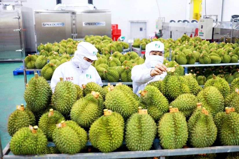 Trái cây Việt Nam xuất khẩu sang Trung Quốc