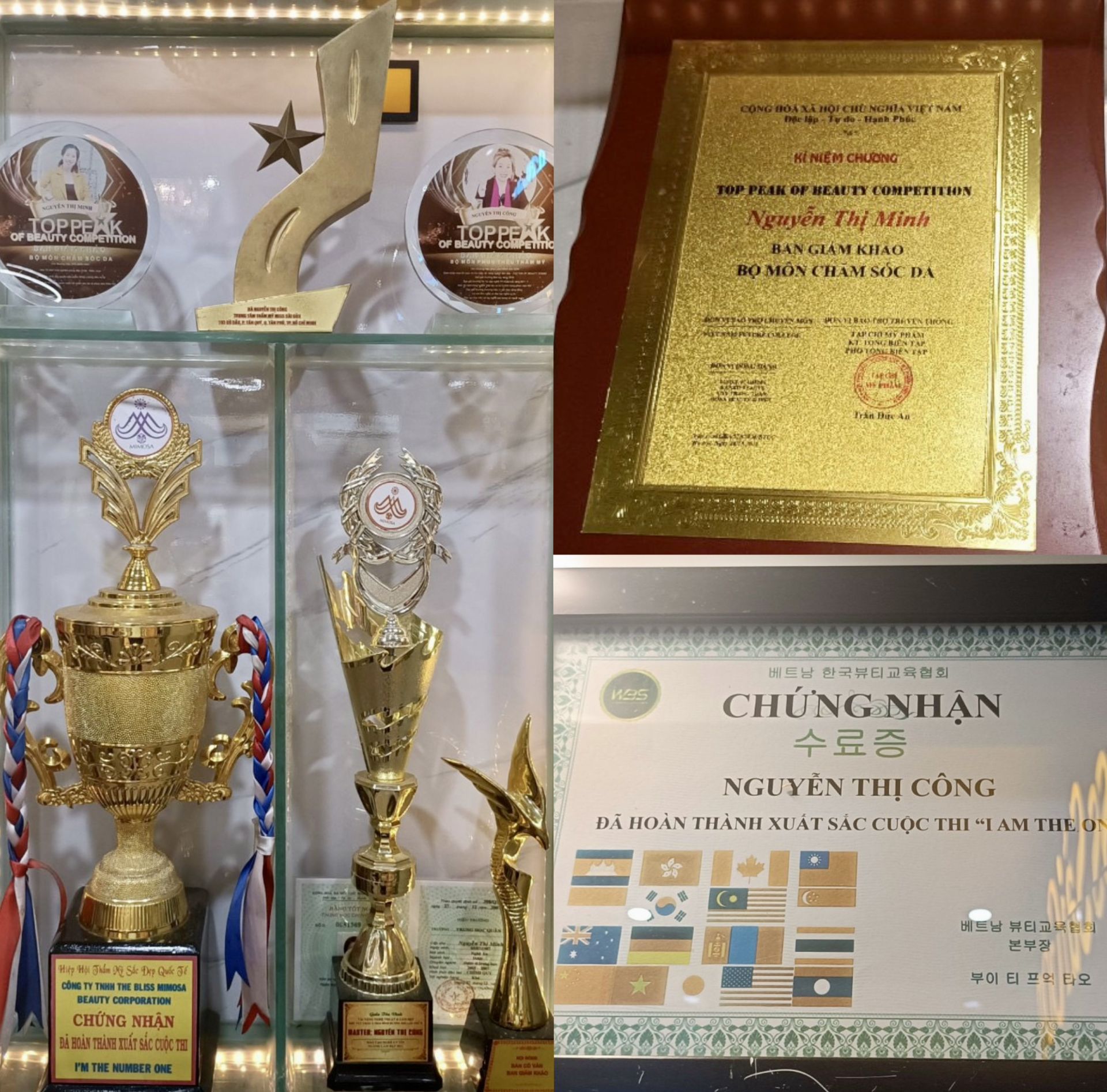 Rất nhiều giải thưởng, kỷ niệm chương, cúp danh hiệu của Master Anna Công Nguyễn được trưng bày tại Miss Sài Gòn.