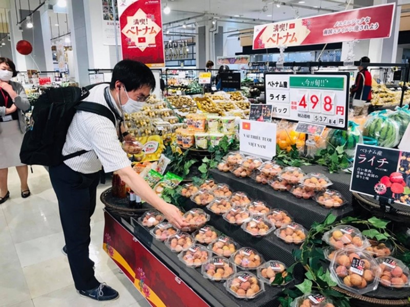 Vietnamese lychee is popular in Japan