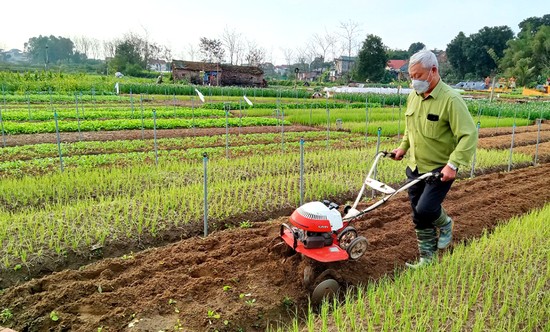 HTX Nông nghiệp hạt giống Đất Tổ (thị trấn Lâm Thao, huyện Lâm Thao) áp dụng khoa học công nghệ vào sản xuất