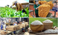 5 tháng đầu năm, Việt Nam thu về hơn 20 tỷ USD từ xuất khẩu hàng nông - lâm - thủy sản
