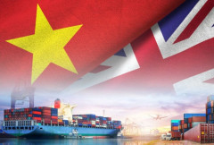 Thị trường Vương quốc Anh: Những vấn đề doanh nghiệp Việt cần quan tâm