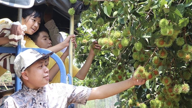 Du khách tham quan vườn trái cây tại TP.Long Khánh