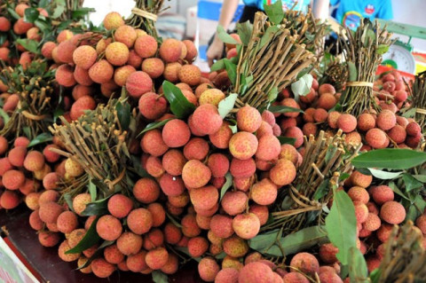 Actively promoting and boosting Vietnamese lychee exports to China