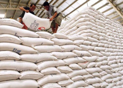 Mời thầu mua 220.000 tấn gạo nâng cao dự trữ quốc gia năm 2023