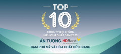 TOP 10 công ty đại chúng hiệu quả nhất năm 2023: Ấn tượng HDBank, Đạm Phú Mỹ và Hóa dầu Đức Giang