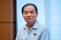 Đại biểu Quốc hội Lê Thanh Vân đề nghị Chính phủ thanh tra đặc biệt EVN