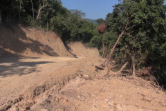 Phó Thủ tướng yêu cầu tỉnh Quảng Ngãi làm rõ vụ phá rừng mở đường công vụ