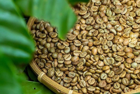Coffee export value exceeds USD 2 billion in the first 5 months of 2023