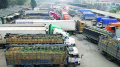 Phú Thọ: Tháo gỡ khó khăn trong xuất khẩu nông sản qua các cửa khẩu