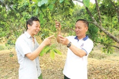 Phú Thọ: Tích cực hỗ trợ phát triển kinh tế nông nghiệp, nông thôn