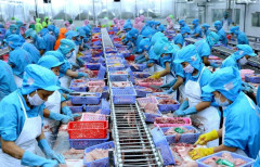 Xuất khẩu thủy sản Việt Nam sang thị trường Trung Quốc giảm mạnh