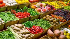 Xuất khẩu rau quả Việt Nam ghi nhận tốc độ tăng trưởng tích cực