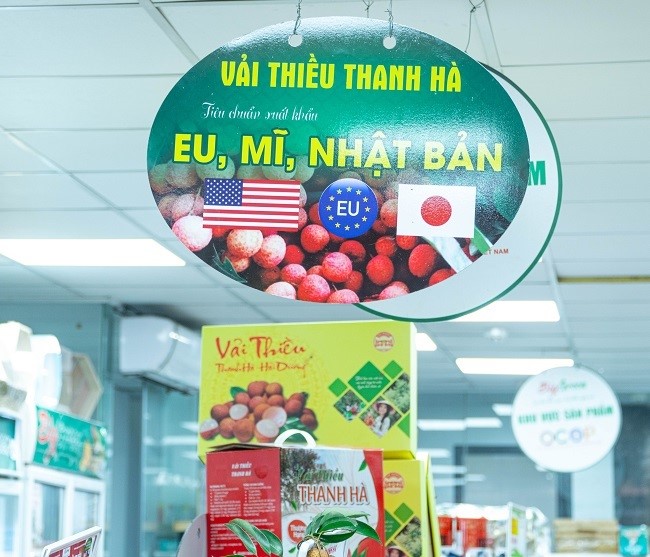 Thanh Ha lychee brand - products that meet export standards to EU, USA, and Japan.