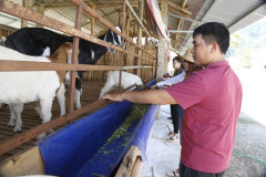 Phú Thọ: Phát triển nông sản của dân tộc Mường tại xã Võ Miếu (huyện Thanh Sơn)