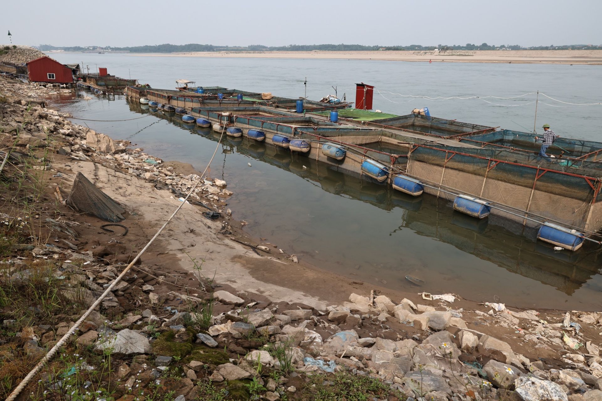 Mặt nước sông Đà xuống mức kỷ lục, các hộ nuôi cá lồng gặp khó