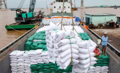 Xuất khẩu gạo trong năm 2023 được kỳ vọng đạt nhiều kỷ lục mới