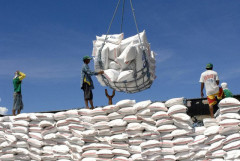 Nhiều điểm mới trong dự thảo sửa Nghị định 107 về xuất khẩu gạo