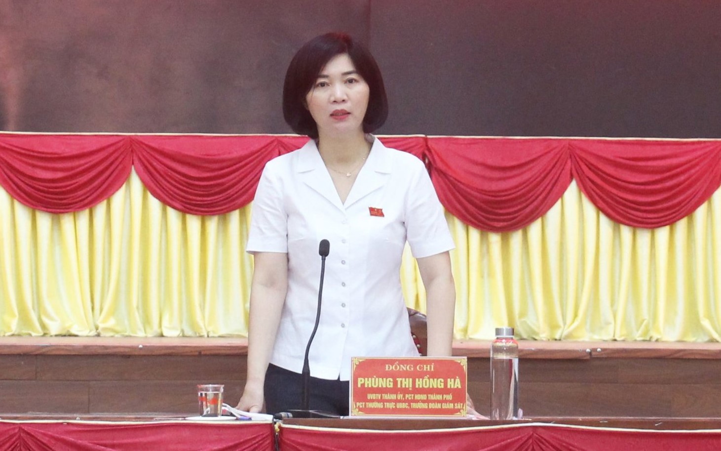 Phó Chủ tịch Thường trực HĐND Phùng Thị Hồng Hà