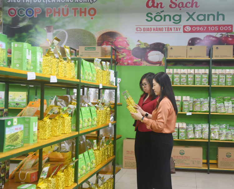 Các sản phẩm OCOP trong tỉnh được giới thiệu tại các siêu thị, cửa hàng, hội chợ