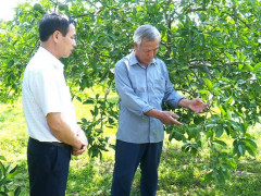 Phú Thọ: Một nông dân ở Lâm Thao lọt top 100 nông dân Việt Nam xuất sắc