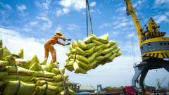 Việt Nam dự kiến ​​xuất khẩu gạo đạt gần 4 tỷ USD trong năm 2023