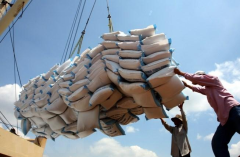 Xuất khẩu gạo tăng nhưng doanh nghiệp cần được hỗ trợ tín dụng