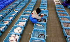 Hải quan Trung Quốc cấm nhập khẩu thực phẩm từ một số tỉnh của Nhật Bản