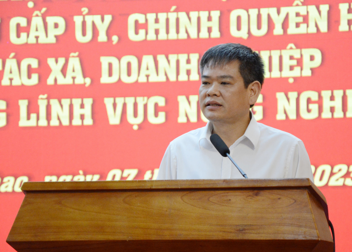 Ông Nguyễn Quang Anh - Bí thư Huyện ủy Lâm Thao phát biểu tại hội nghị