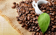 Trong 6 tháng đầu năm 2023, xuất khẩu cà phê của Việt Nam đạt trên 1 triệu tấn
