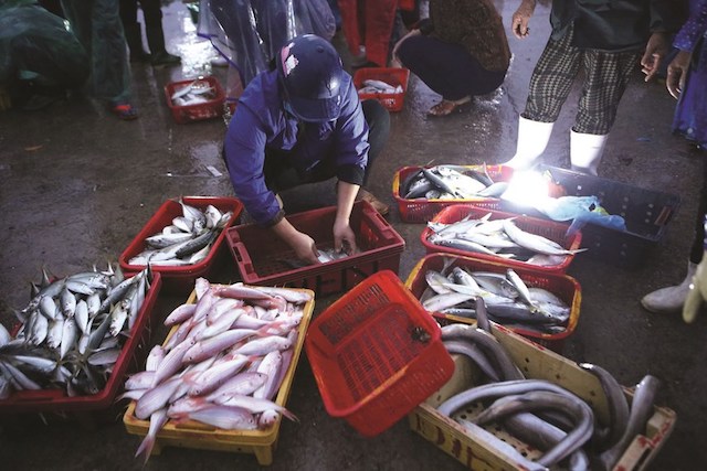 Trong 6 tháng đầu năm, Lộc Hà đánh bắt được 2.739 tấn hải sản các loại