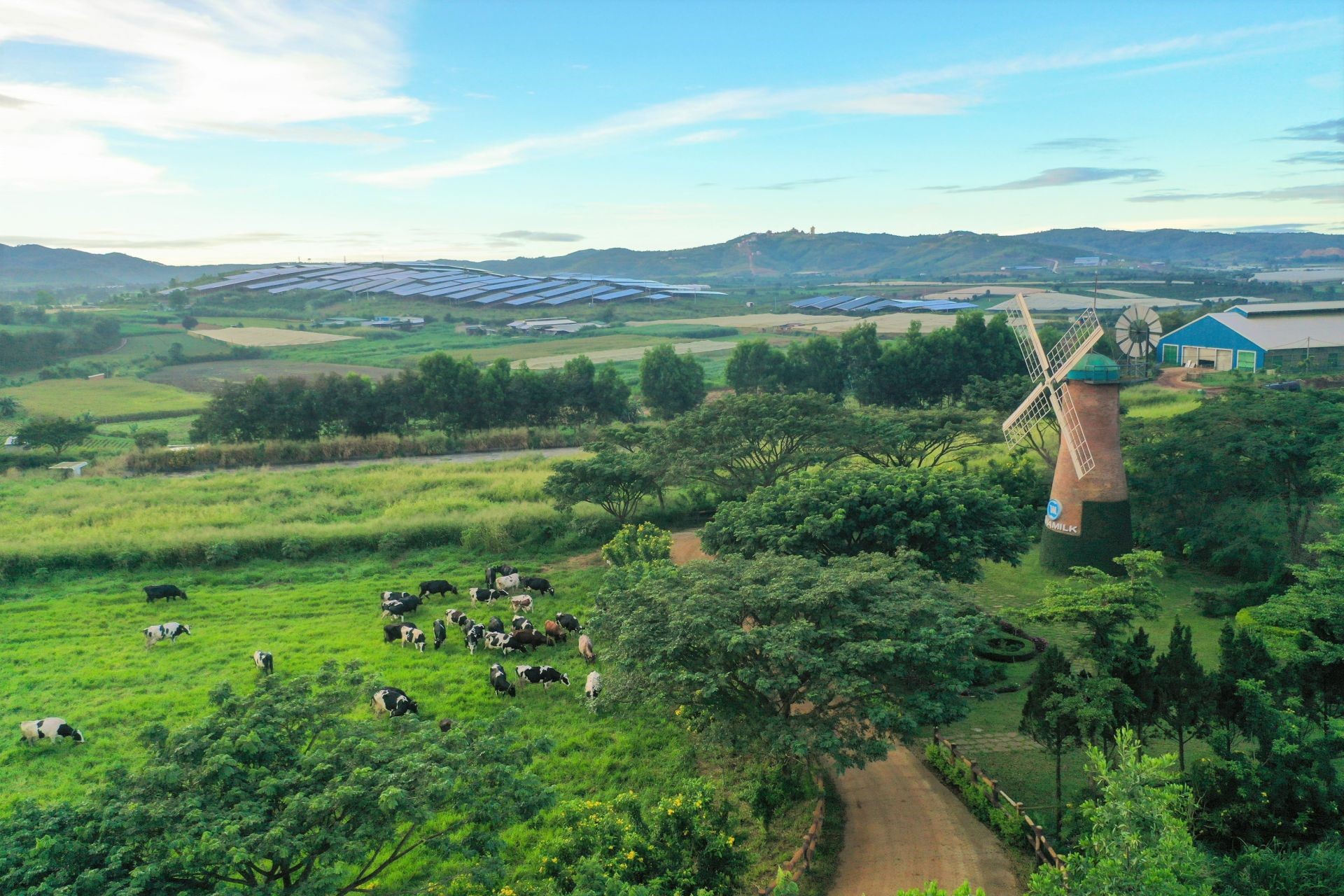 The farms at Vinamilk all use solar energy, biogas systems turn cow waste into resources.