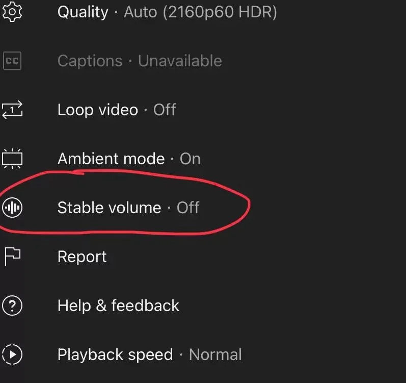 Tính năng mới của YouTube - Stable volume sẽ xuất hiện trong menu tùy chỉnh.