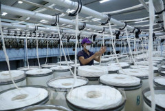 Xuất nhập khẩu Kiên Giang: Ghi nhận doanh thu thuần gần 2,244 tỷ đồng, tăng 77%