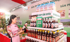 Hà Tĩnh đã có 6 sản phẩm OCOP vươn ra các thị trường quốc tế