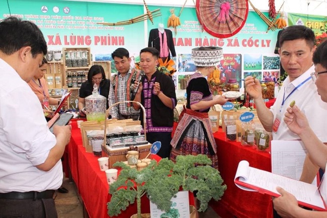 Đại diện xã Lùng Phình, huyện Bắc Hà giới thiệu cây rau cải Kale đặc sản và các sản phẩm nước uống, miến làm từ nguyên liệu cây rau này đã chinh phục thị trường trong nước với du khách.