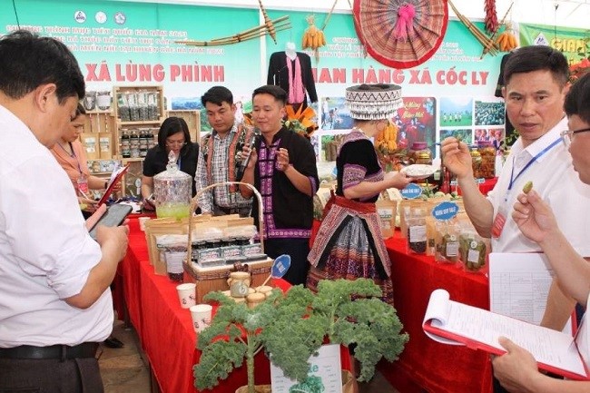 The representative of the Lung Phinh commune in the Bac Ha district introduced to tourists the kale vegetables, bottled water, and vermicelli made from this vegetable that has conquered the domestic market. (Image: Bac Ha District Department of Agriculture).