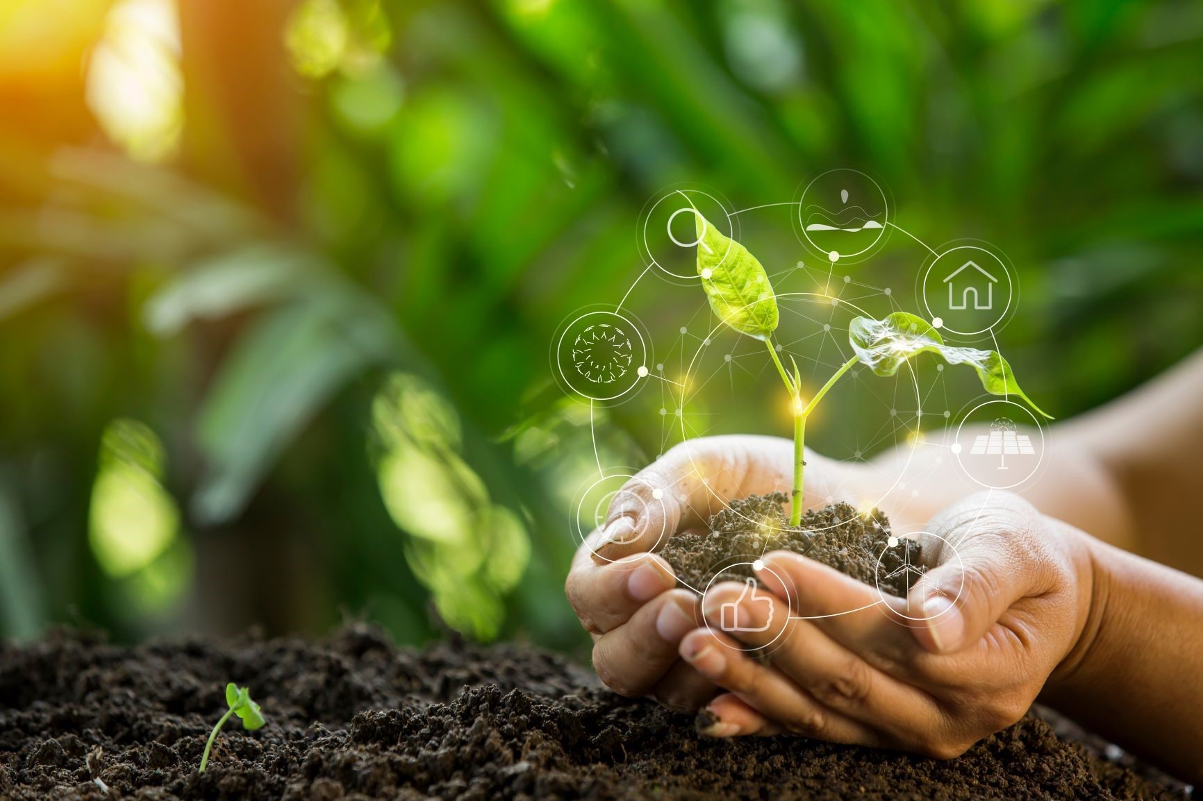 Green transformation helps businesses increase their competitive advantage. Illustration: Shutterstock.