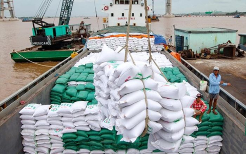 Vietnam's rice exports reached $2.4 billion in the first half of July.