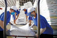 Giá gạo xuất khẩu tăng vọt, trong khi giá cà phê tiếp đà ‘lao dốc’
