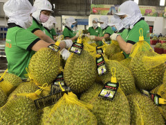 Trung Quốc "siết" an toàn thực phẩm - thách thức với doanh nghiệp Việt